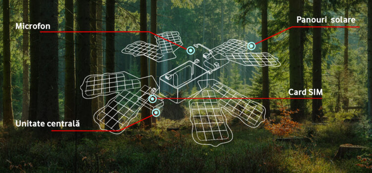 Vodafone anunță, în premieră în România, un proiect de pădure inteligentă, conectată la rețeaua Supernet.