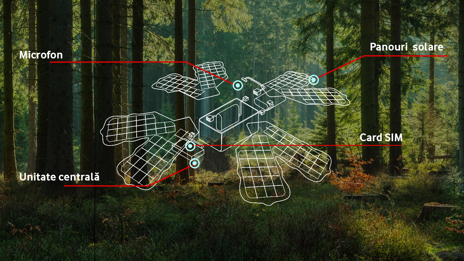 Vodafone: Proiect de pădure inteligentă, conectată la rețeaua Supernet